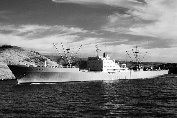wildfulmar-bigBC44C148-6B5B-6DAD-B5EE-9CA76DFB11A1.jpg