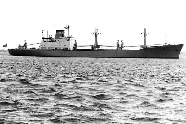 wildmarlin-bigC491BBB8-EB8C-6144-2AEF-6BDB788992EF.jpg