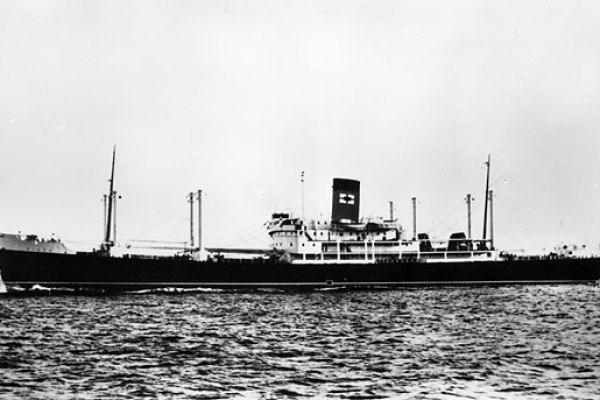 piako3-big8449F60A-92DD-6552-C6A4-45FA55381D71.jpg