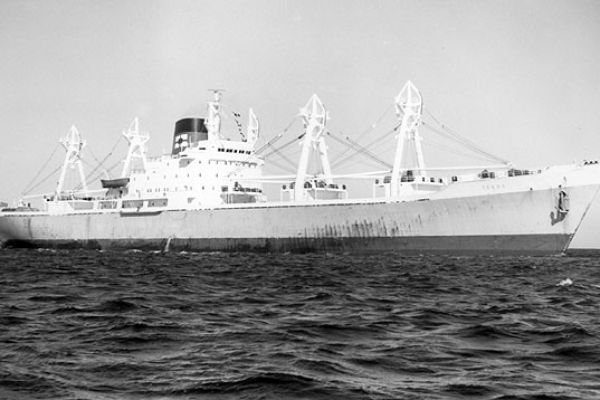 tekoa3-big2EF1D82B-17A3-A023-44A5-FE379BF5B2E1.jpg