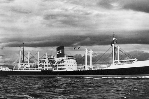 wharanui-big8A532BF1-8ACF-FD87-6FC8-9C606774EBC5.jpg