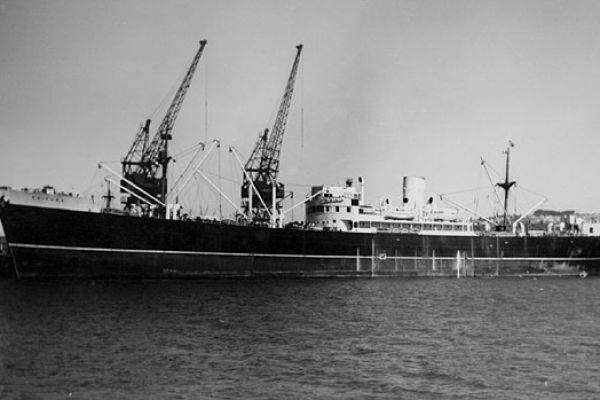 kaipara2-big10F358BB-F4FC-2CB6-5EA7-A0A37CE80EC3.jpg
