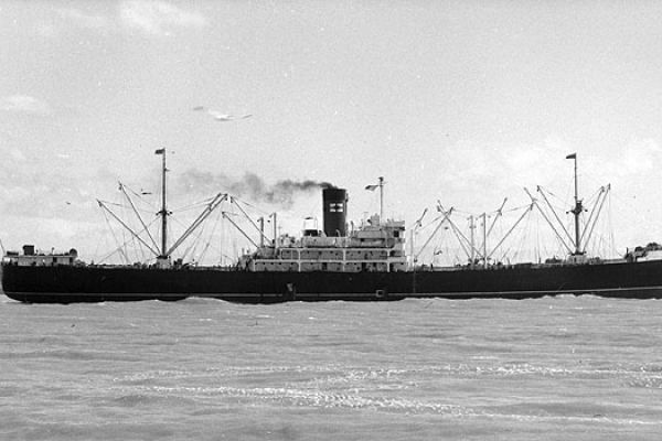 paparoa2-bigE60ACCB2-171D-85F1-7CFE-E40B16BBC886.jpg