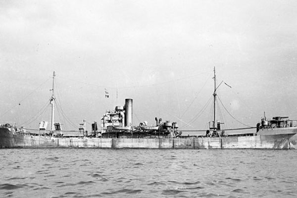 empiremerganser-big76D09C96-916E-C3FD-A9FA-F7B5071C9997.jpg