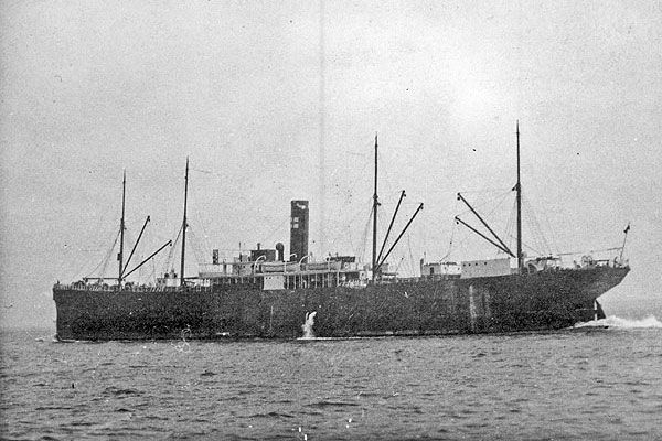 sussex-big3C85278B-C194-E0D4-0230-E180C6AE7AE2.jpg