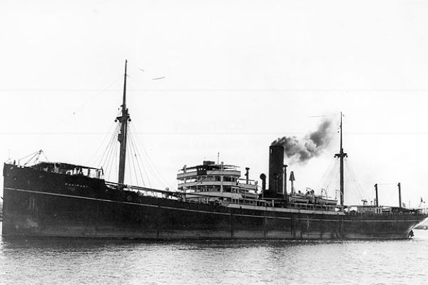 pakipaki-big6B460C5C-0357-EF9B-9208-1C62B02CE52C.jpg