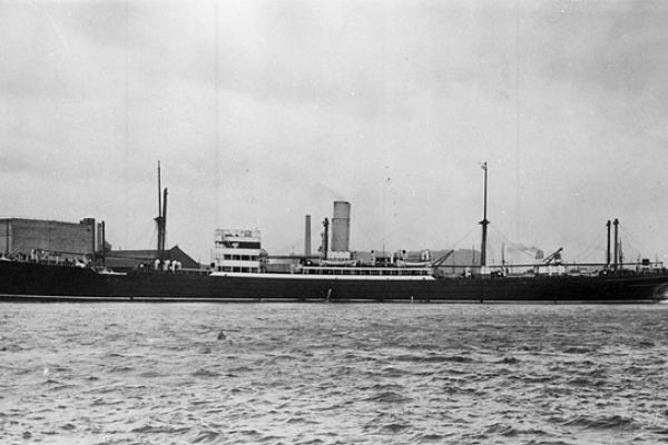 tasmania-bigF2168CA6-830A-77D6-B36C-3D483C964A24.jpg