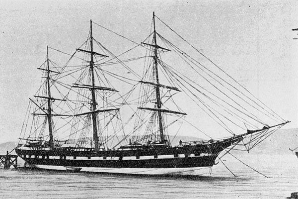 waimea-big86A61BC2-1238-9B9A-0500-06FD4AB9C13A.jpg