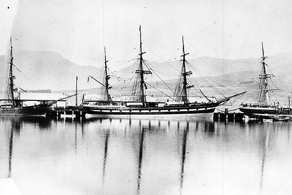 wairoa-big4B91B0BE-6DF7-B103-6FB1-C1996431A960.jpg